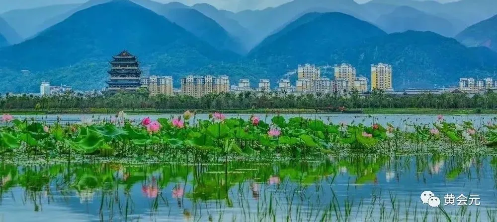 十二年高考真题所考成语汇编(2014—2025) 第3张