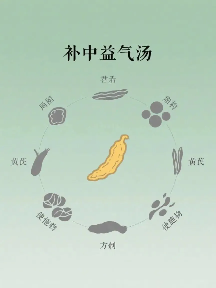 中医师承考试题:中医师承考试题全真模拟与易错点总结 第6张