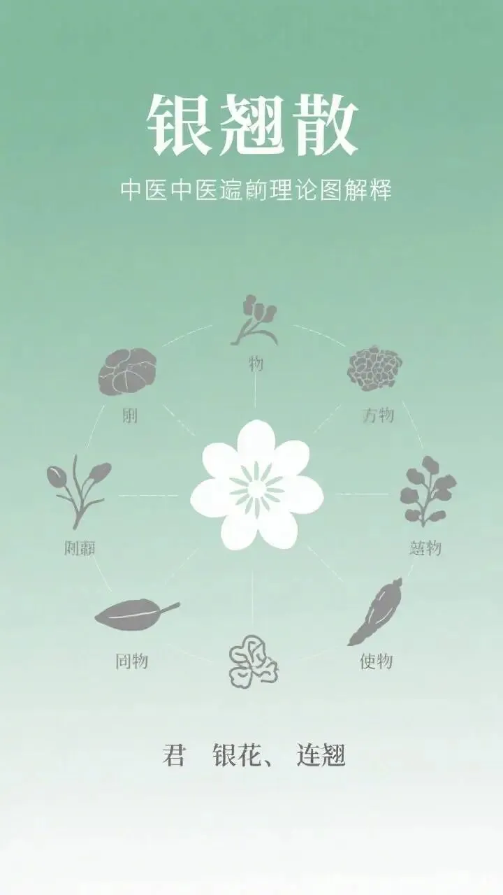 中医师承考试题:中医师承考试题全真模拟与易错点总结 第7张