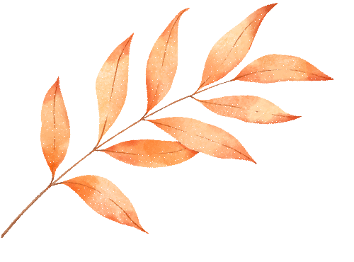 【试卷分享】长沙2015-2024年中考数理化试卷汇总 第13张 【试卷分享】长沙2015-2024年中考数理化试卷汇总 第13张