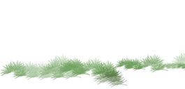 《模拟考试全市第二我穿越到死亡答题游戏后,我杀疯了》林薇薇林总丨全文-免费大结局 第2张 《模拟考试全市第二我穿越到死亡答题游戏后,我杀疯了》林薇薇林总丨全文-免费大结局 第2张