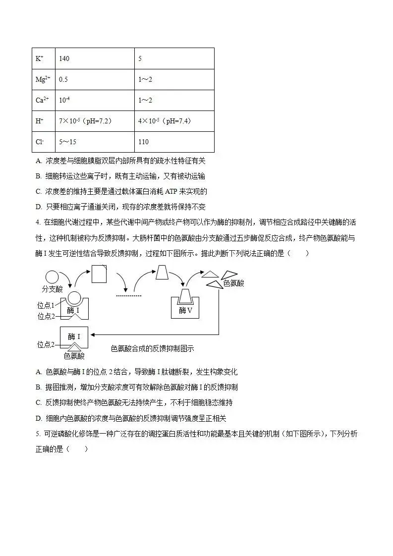 《高中试卷》安徽省“新高考”联盟校2026届高三下学期第一次检测生物(含答案) 第3张