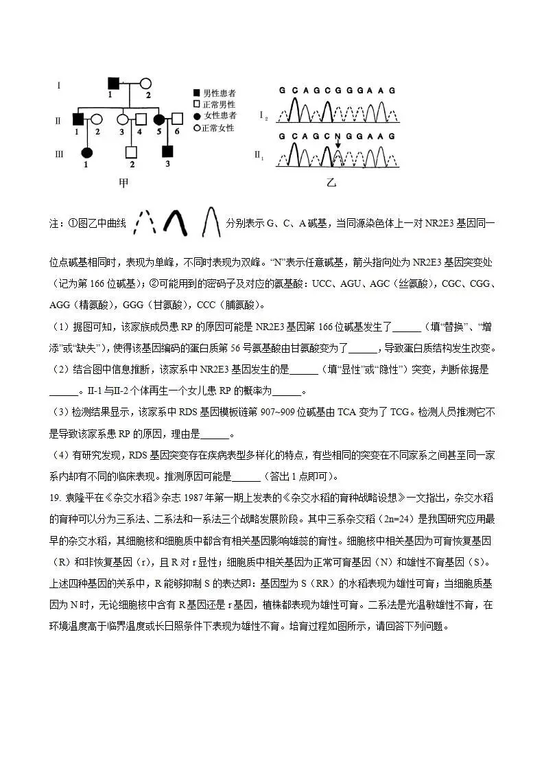 《高中试卷》安徽省“新高考”联盟校2026届高三下学期第一次检测生物(含答案) 第10张
