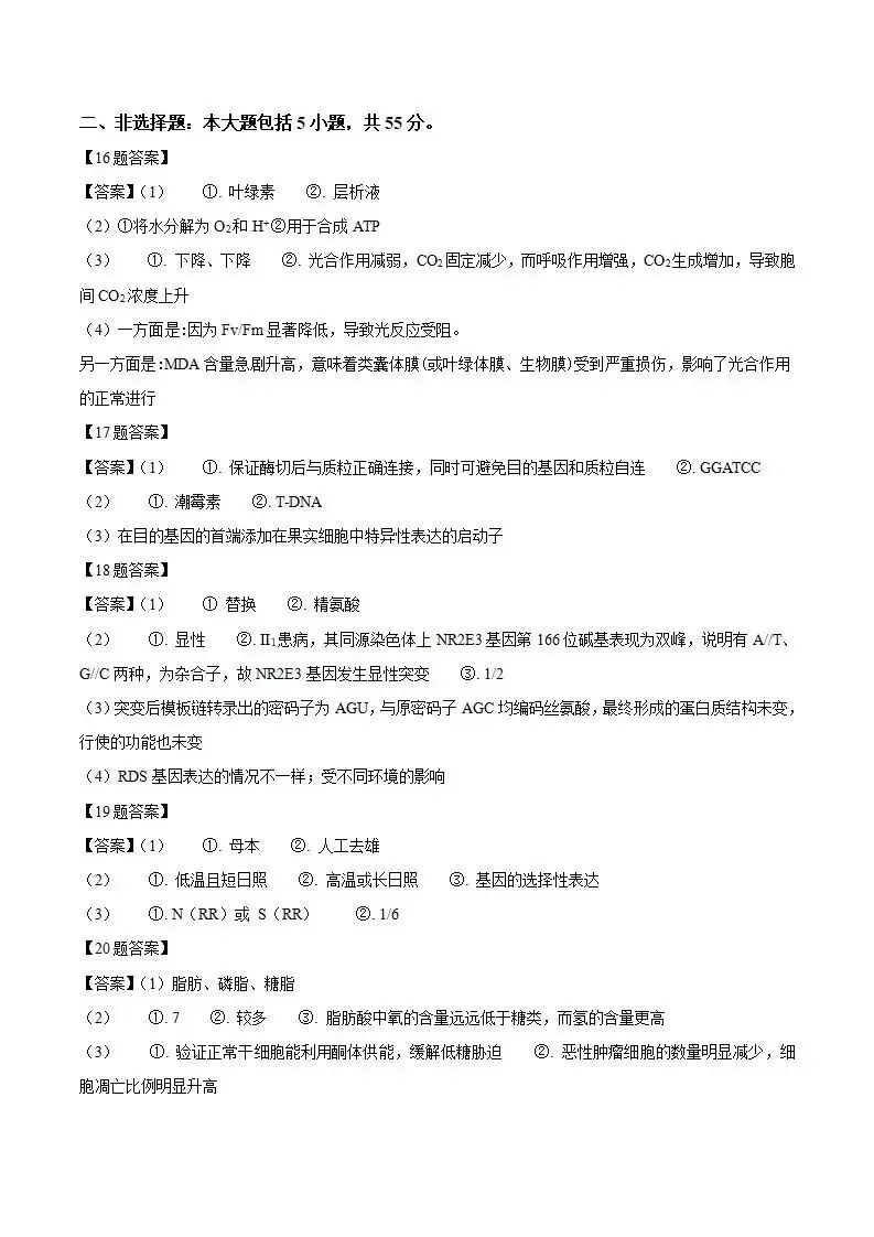 《高中试卷》安徽省“新高考”联盟校2026届高三下学期第一次检测生物(含答案) 第14张
