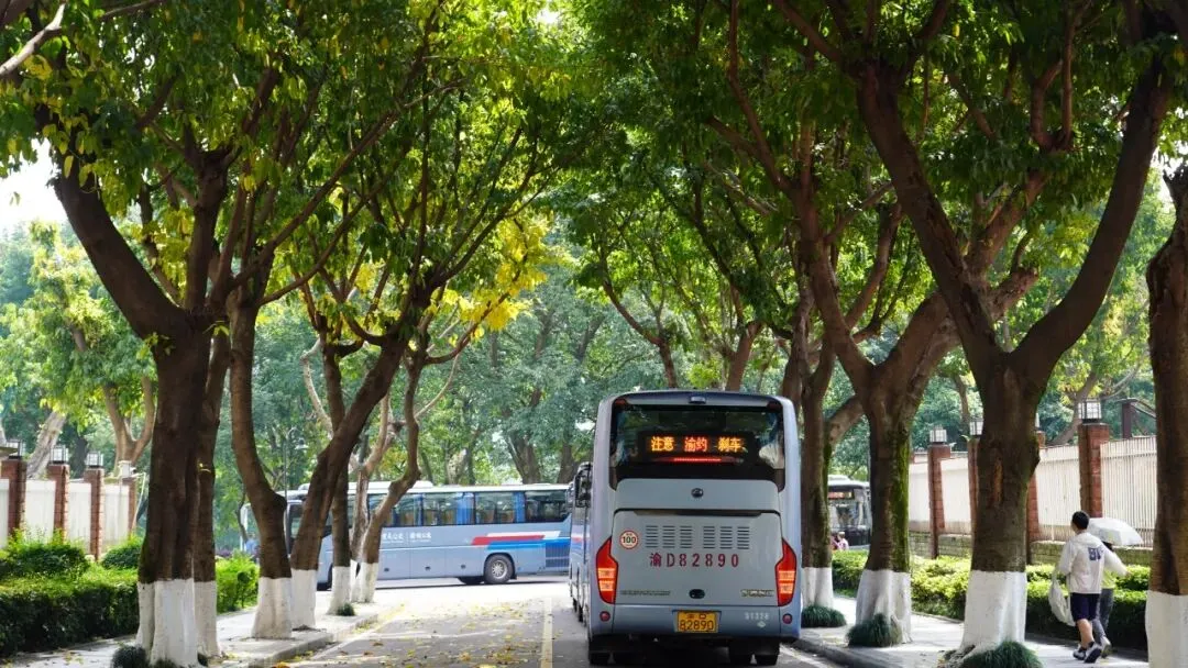 热血逐梦,不负韶华!直击初三体育中考暖心现场 第4张