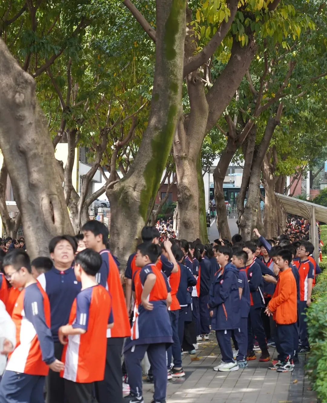 热血逐梦,不负韶华!直击初三体育中考暖心现场 第10张