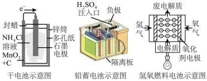 2026.4东北育才高一化学月考试卷+答案 第7张