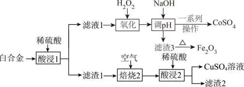 2026.4东北育才高一化学月考试卷+答案 第10张