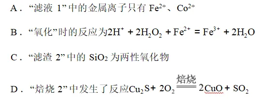 2026.4东北育才高一化学月考试卷+答案 第11张
