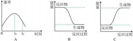 2026.4东北育才高一化学月考试卷+答案 第17张