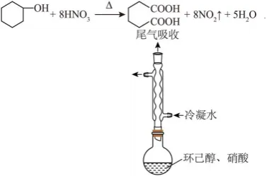 2026.4东北育才高一化学月考试卷+答案 第20张