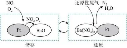 2026.4东北育才高一化学月考试卷+答案 第22张