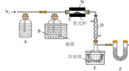 2026.4东北育才高一化学月考试卷+答案 第24张