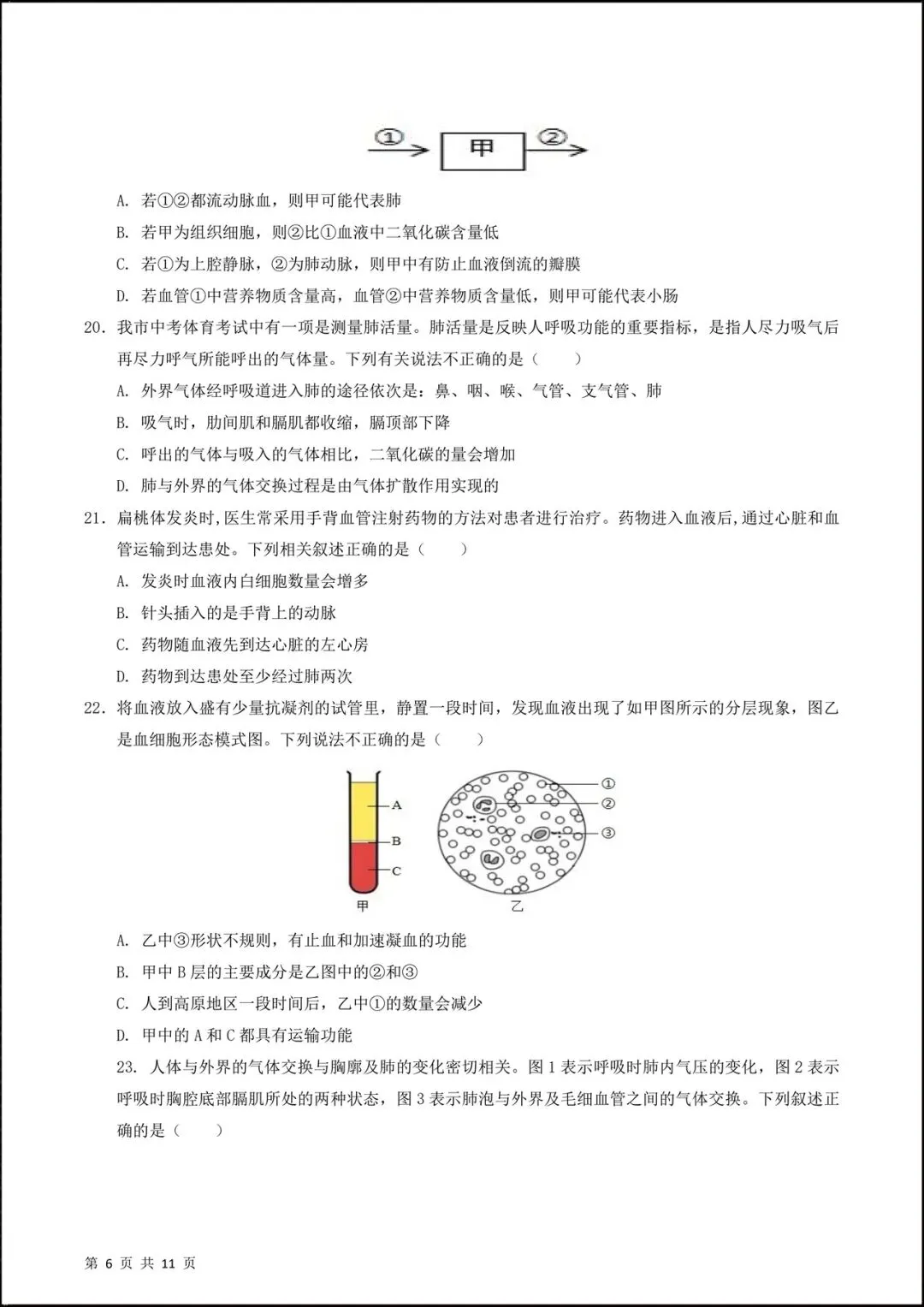 2026新北师大版七年级生物下学期【期中考试模拟卷】(附答案解析),完整电子版可打印! 第7张