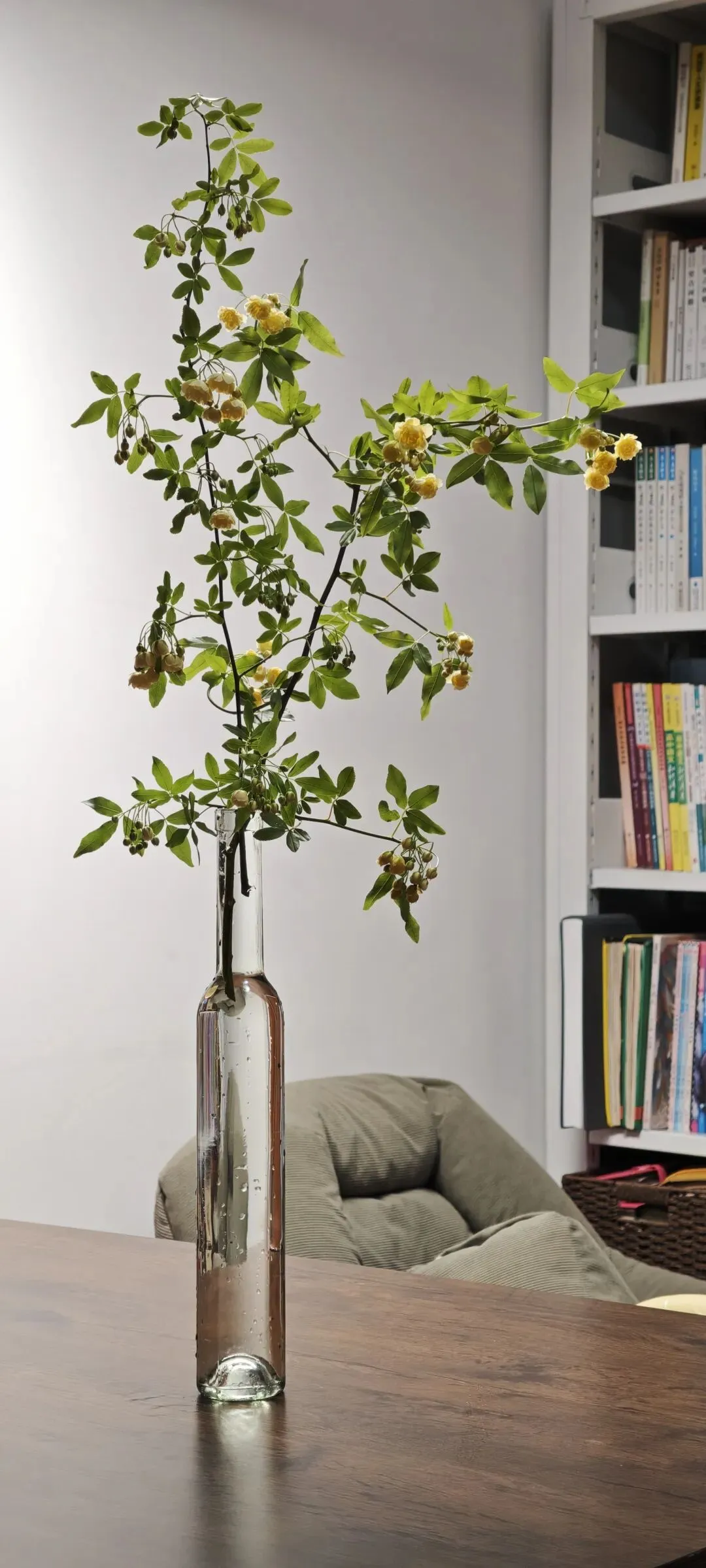 中考:作文练习讲评《红花还是绿叶》 第4张 中考:作文练习讲评《红花还是绿叶》 第4张