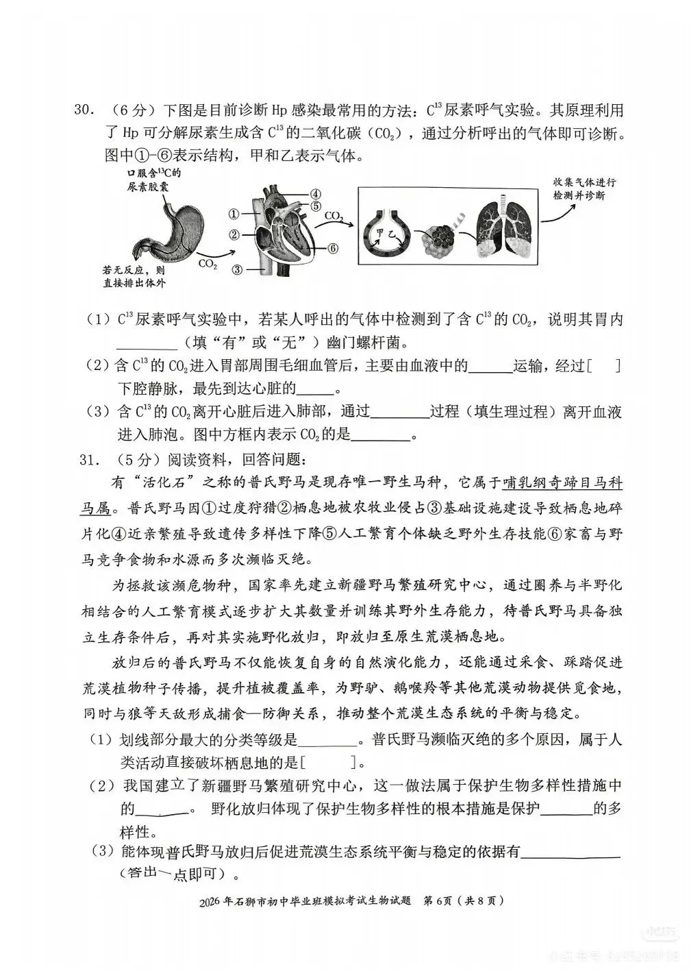 26年中考复习卷7,福建毕业班模拟考试 第6张