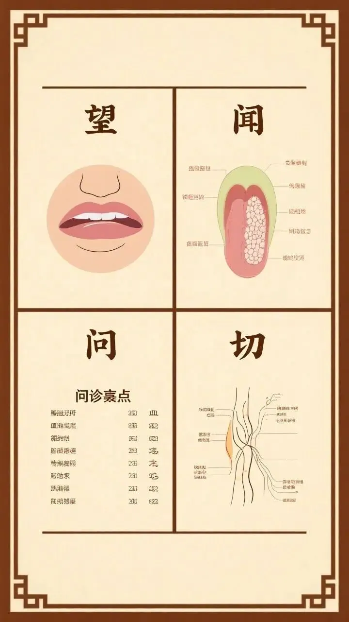 中医师承答辩:中医师承答辩流程、真题题库与高分通关技巧 第5张
