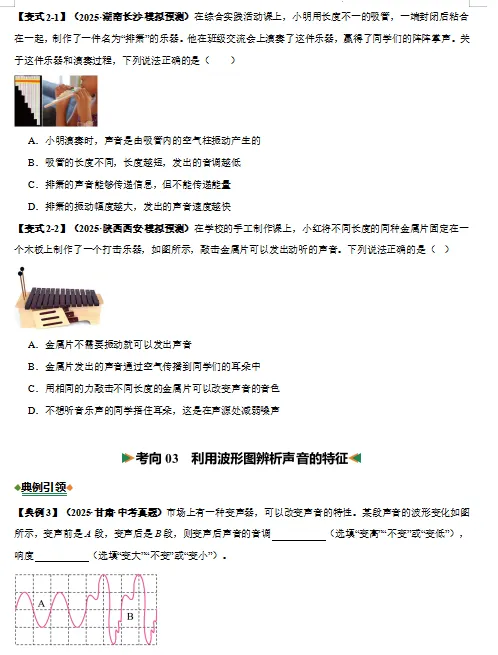 2026年中考物理二轮复习题型专练,打印一份给孩子,考试稳上90分!(全国通用版) 第6张