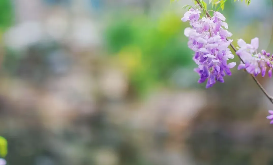 考前20天,大量的二模试卷书写训练中--我们如何写的地理“好”主观题 第9张 考前20天,大量的二模试卷书写训练中--我们如何写的地理“好”主观题 第9张