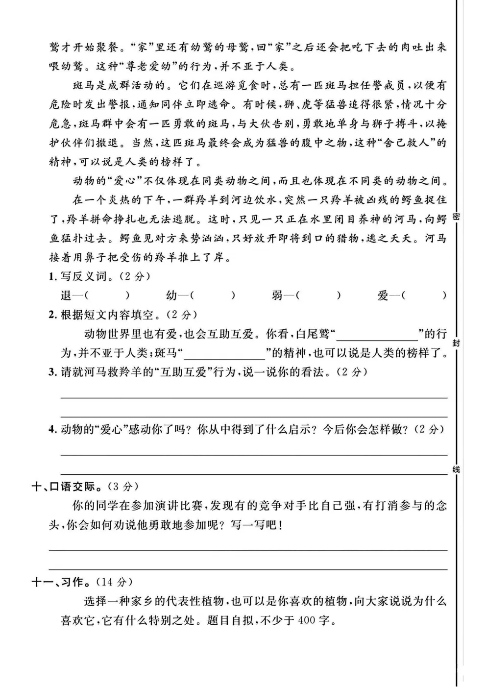 四年级下册语文《期中真题测试卷》 第23张