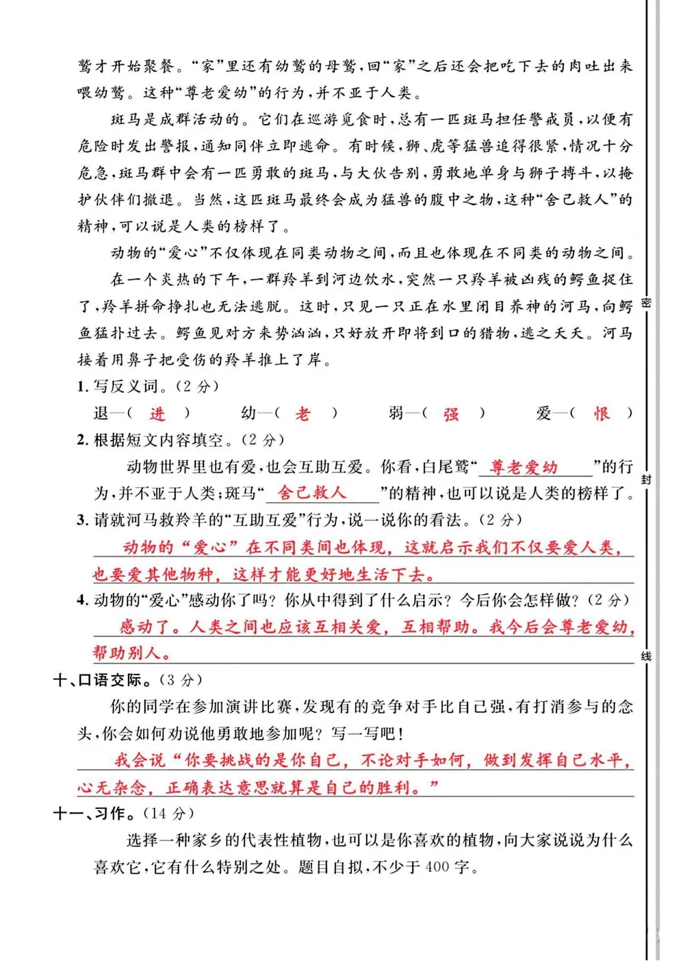 四年级下册语文《期中真题测试卷》 第27张