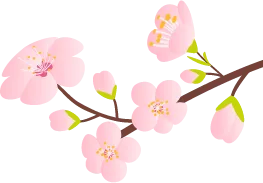 精研复习课 赋能中考路——记2026年上虞区初中科学中考复习研讨活动 第3张