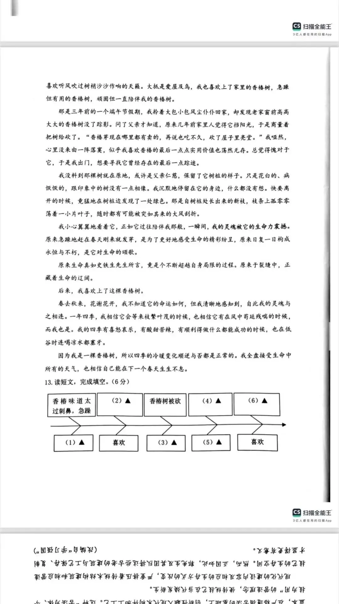 2025慈溪市小学毕业考(语数英科)试卷汇总 第4张