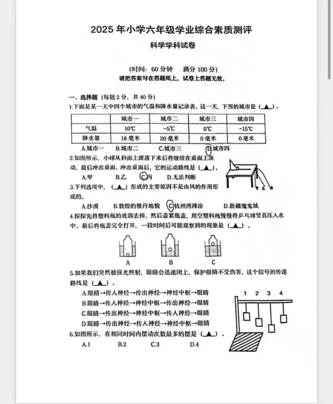 2025慈溪市小学毕业考(语数英科)试卷汇总 第16张