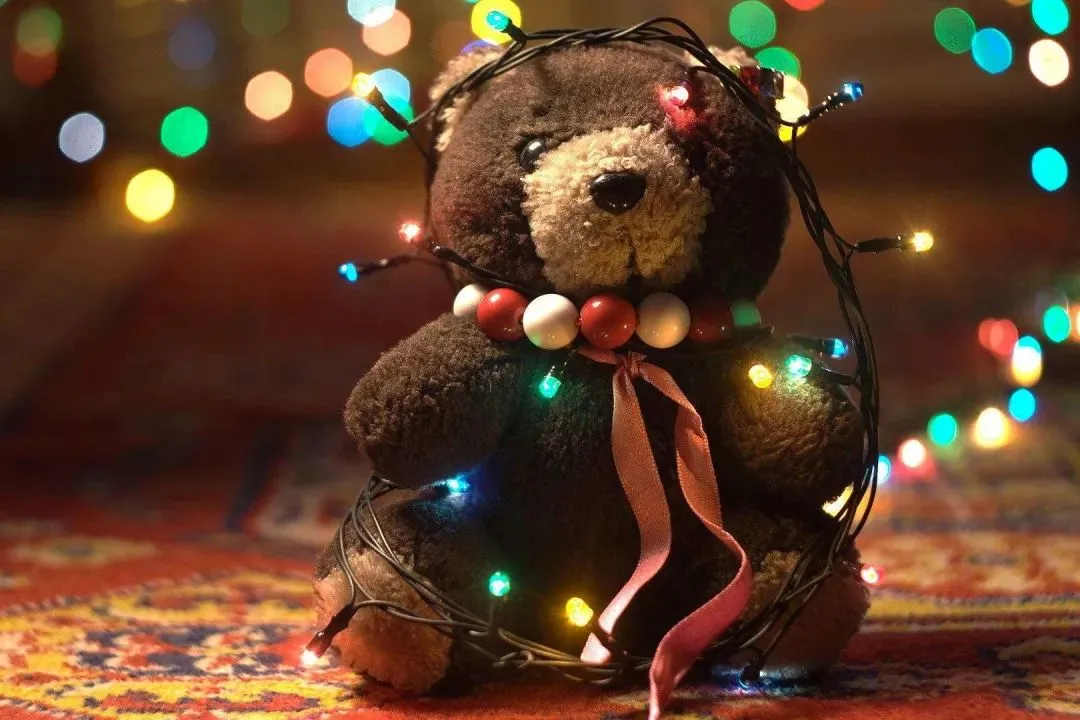 好书畅读:欣欣《为什么我的高考试卷总是白纸啊?》最新章节全文畅读 第1张 好书畅读:欣欣《为什么我的高考试卷总是白纸啊?》最新章节全文畅读 第1张