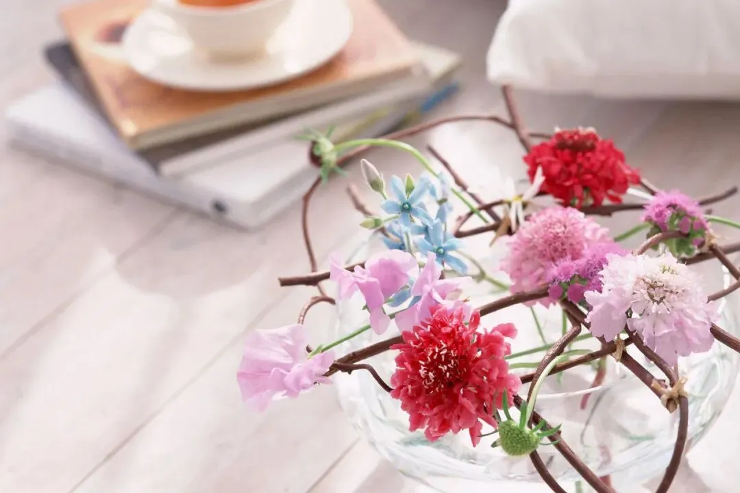 好书畅读:欣欣《为什么我的高考试卷总是白纸啊?》最新章节全文畅读 第2张 好书畅读:欣欣《为什么我的高考试卷总是白纸啊?》最新章节全文畅读 第2张