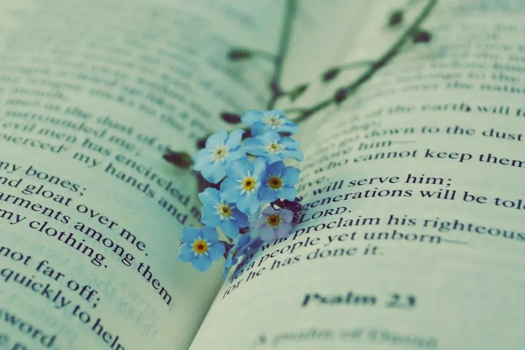 好书推荐:欣欣《为什么我的高考试卷总是白纸啊?》完整章节(免费) 第8张 好书推荐:欣欣《为什么我的高考试卷总是白纸啊?》完整章节(免费) 第8张