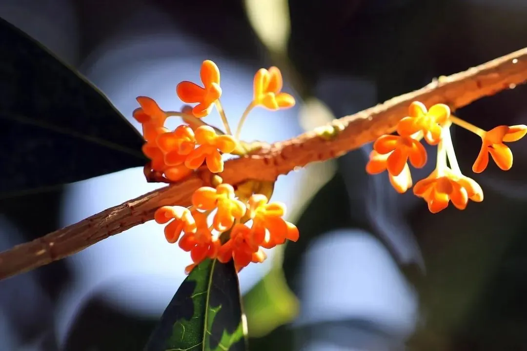 好书推荐:欣欣《为什么我的高考试卷总是白纸啊?》完整章节(免费) 第9张 好书推荐:欣欣《为什么我的高考试卷总是白纸啊?》完整章节(免费) 第9张