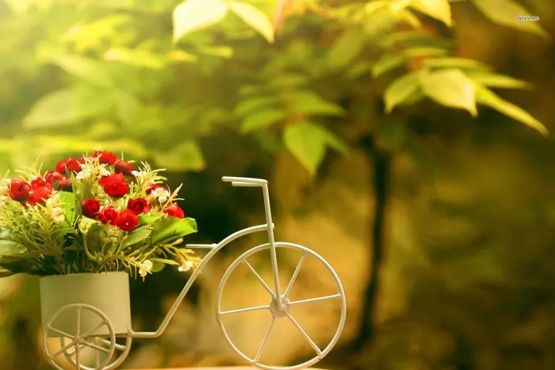 好书推荐:欣欣《为什么我的高考试卷总是白纸啊?》完整章节(免费) 第12张 好书推荐:欣欣《为什么我的高考试卷总是白纸啊?》完整章节(免费) 第12张