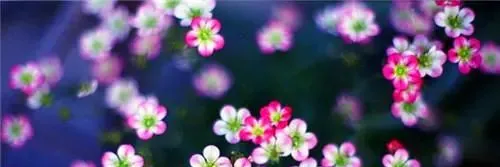 热文分享:欣欣《为什么我的高考试卷总是白纸啊?》完整&大结局 第10张