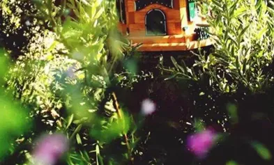 热文分享:欣欣《为什么我的高考试卷总是白纸啊?》完整&大结局 第11张