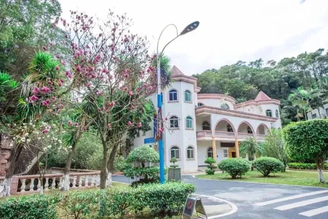 中考400分以下报名:广州涉外经济职业技术学院中职部2026年自主招生 第8张