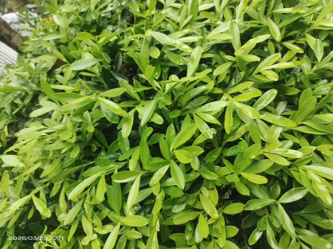 距离中考还有69天,我在复盘这些年走过的路 第1张