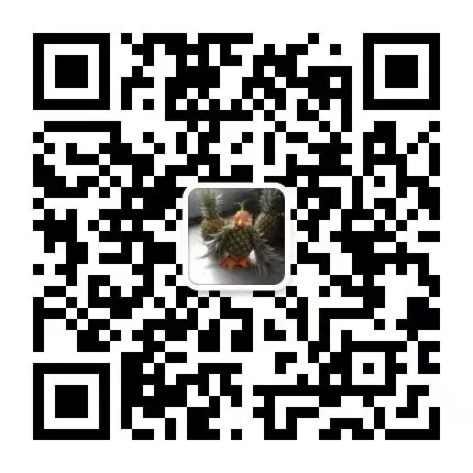 距离中考还有69天,我在复盘这些年走过的路 第2张