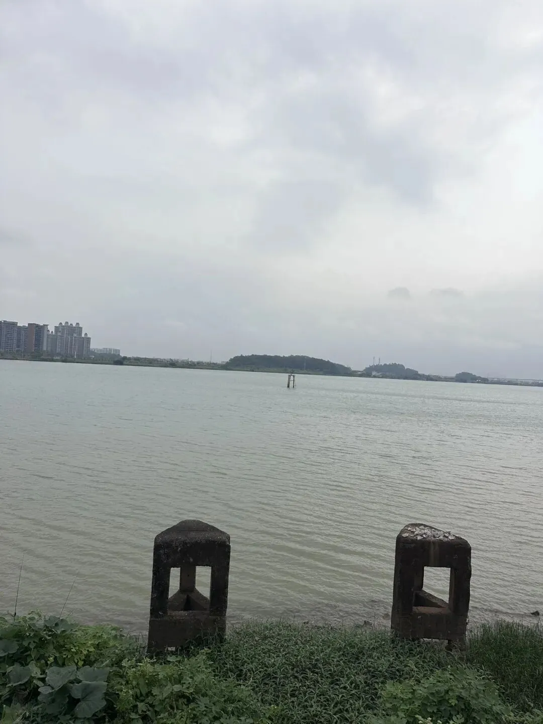 致明天体育中考的孩子:妈妈不盼满分,只愿你平安顺遂 第1张