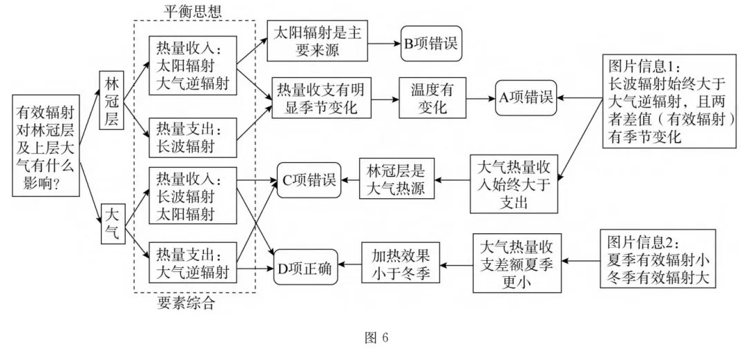 图解高考真题:2024广东卷热带季雨林林冠层辐射 第3张