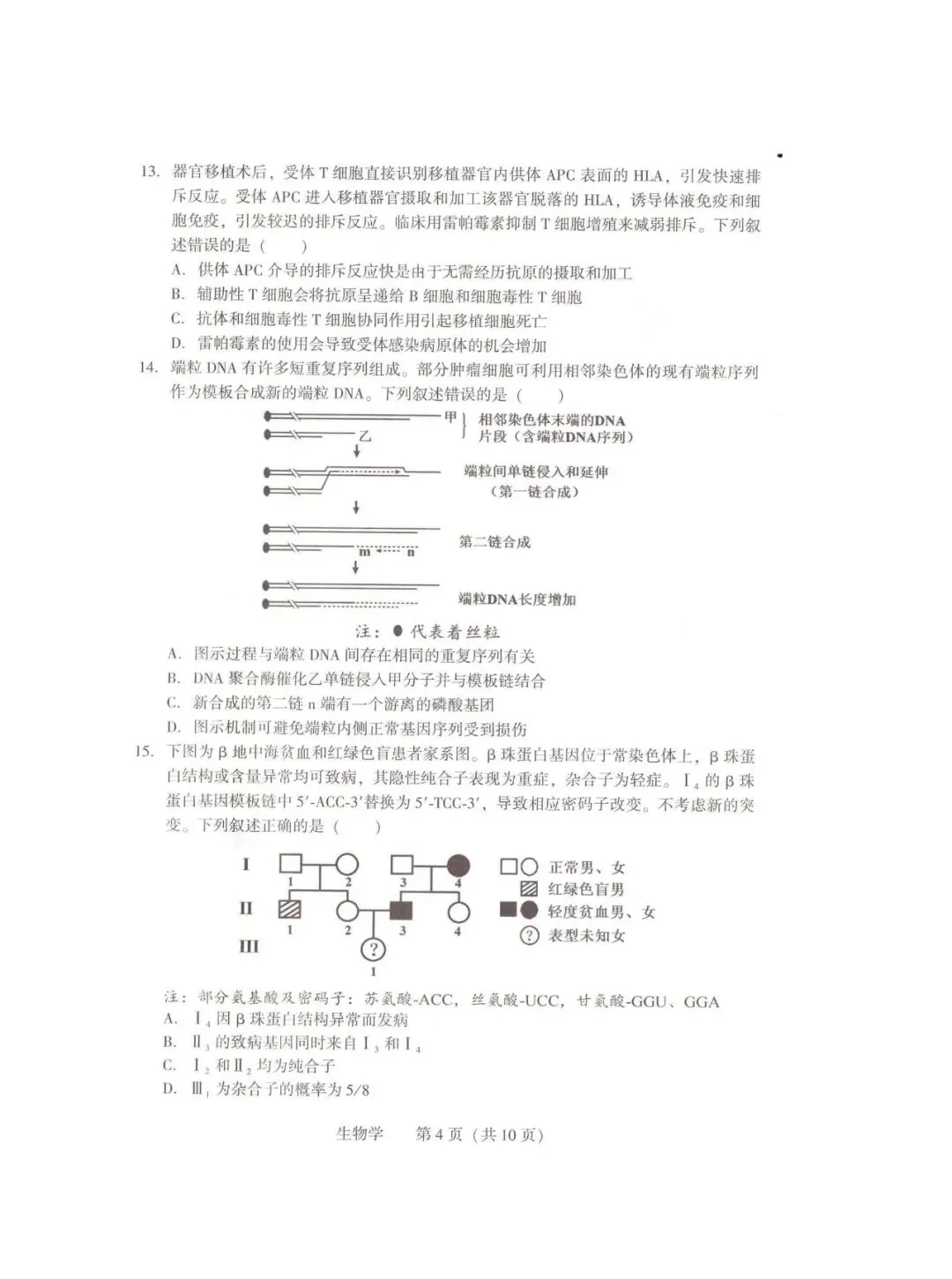 2026年沈阳市高三【二模生物】试卷+答案 第6张
