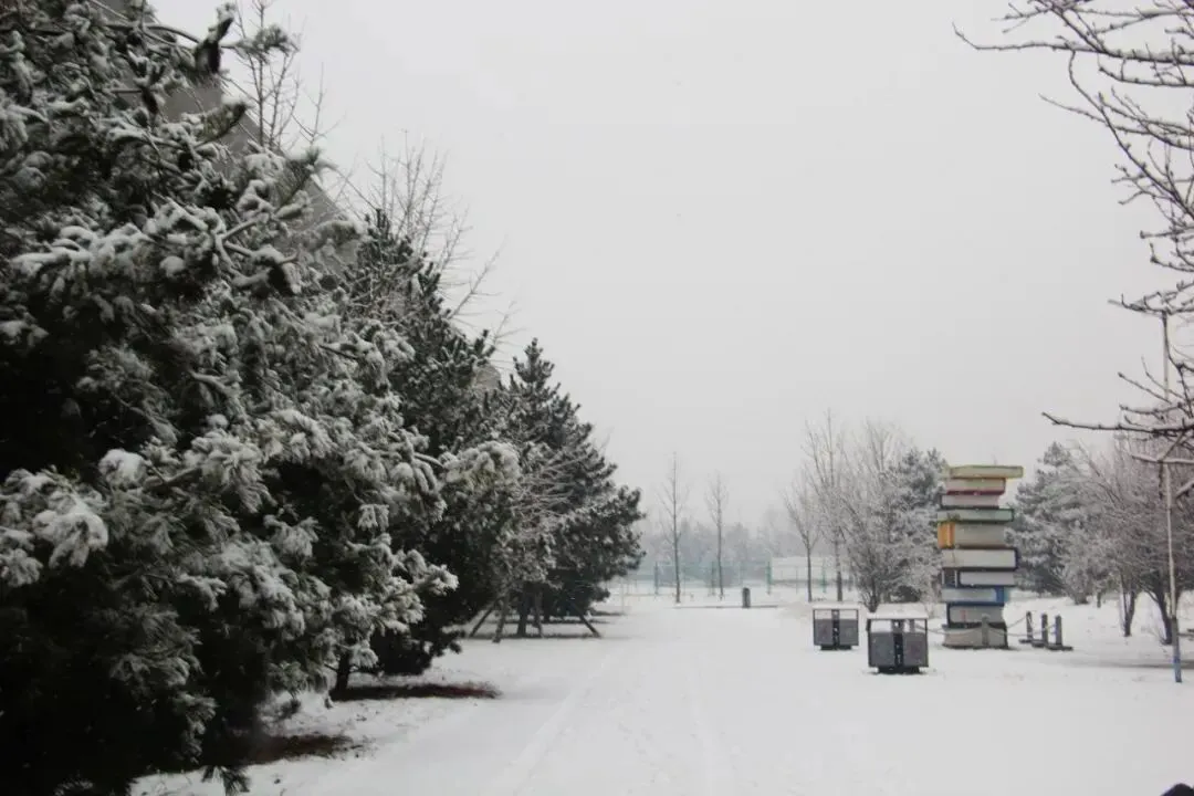 衡水名师领航 中考智信攻略——邢台智信中学4月18日校园开放日邀请您来访! 第22张 衡水名师领航 中考智信攻略——邢台智信中学4月18日校园开放日邀请您来访! 第22张
