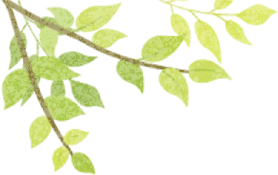 【清新实校•教学视导】视导领航中考路 笃行深耕备考策—— 清新区教师发展中心视导组莅临清新区实验学校开展教学视导活动 第2张 【清新实校•教学视导】视导领航中考路 笃行深耕备考策—— 清新区教师发展中心视导组莅临清新区实验学校开展教学视导活动 第2张