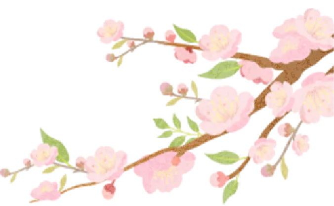 【清新实校•教学视导】视导领航中考路 笃行深耕备考策—— 清新区教师发展中心视导组莅临清新区实验学校开展教学视导活动 第3张 【清新实校•教学视导】视导领航中考路 笃行深耕备考策—— 清新区教师发展中心视导组莅临清新区实验学校开展教学视导活动 第3张