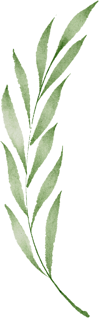 以陪伴为铠甲,赴少年中考之约 第3张 以陪伴为铠甲,赴少年中考之约 第3张