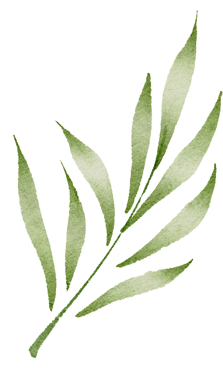 以陪伴为铠甲,赴少年中考之约 第4张 以陪伴为铠甲,赴少年中考之约 第4张