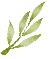 以陪伴为铠甲,赴少年中考之约 第12张 以陪伴为铠甲,赴少年中考之约 第12张