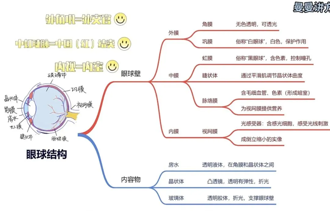 2026医学基础知识真题(4月12日) 第2张