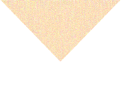 中考备考如何精准发力?——看华附教育集团在“七地九校”联盟活动中的精彩答案 第6张