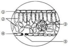 中考生物学实验操作考试要求 第1张